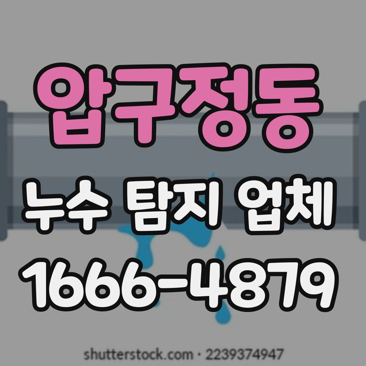 압구정동 누수 탐지 업체