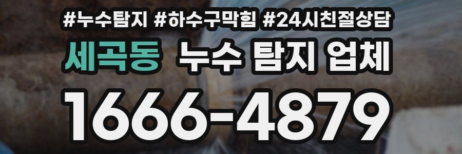 세곡동 누수 탐지 업체