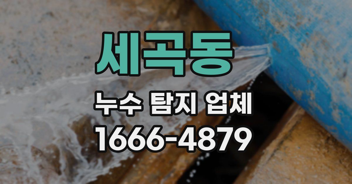 세곡동 누수 탐지 업체
