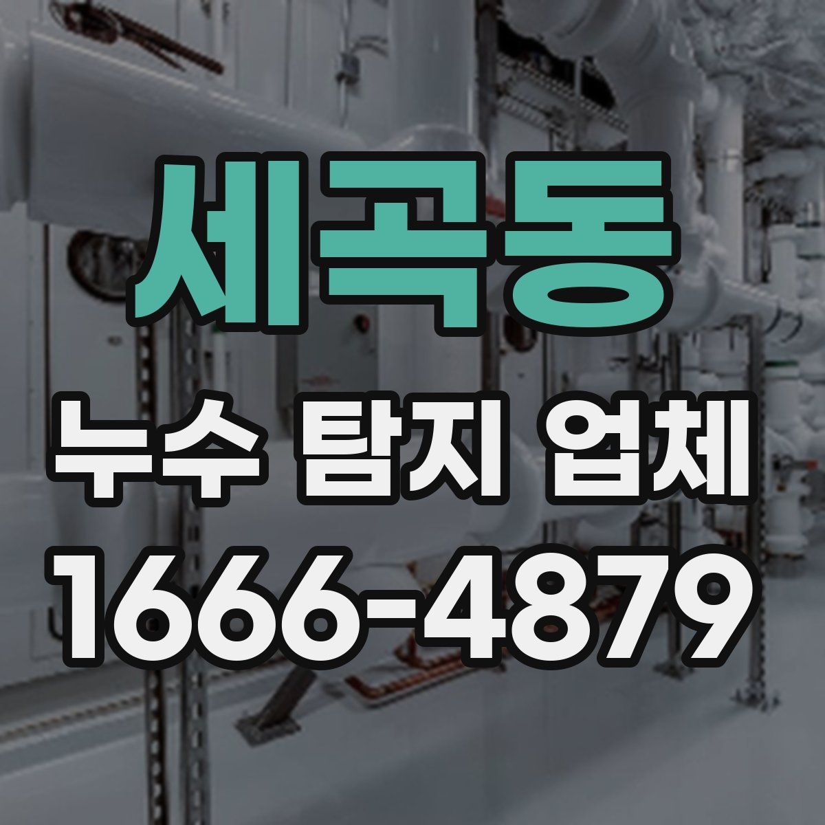세곡동 누수 탐지 업체