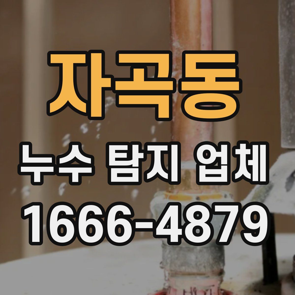 자곡동 누수 탐지 업체