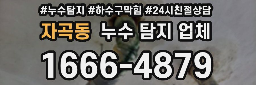 자곡동 누수 탐지 업체