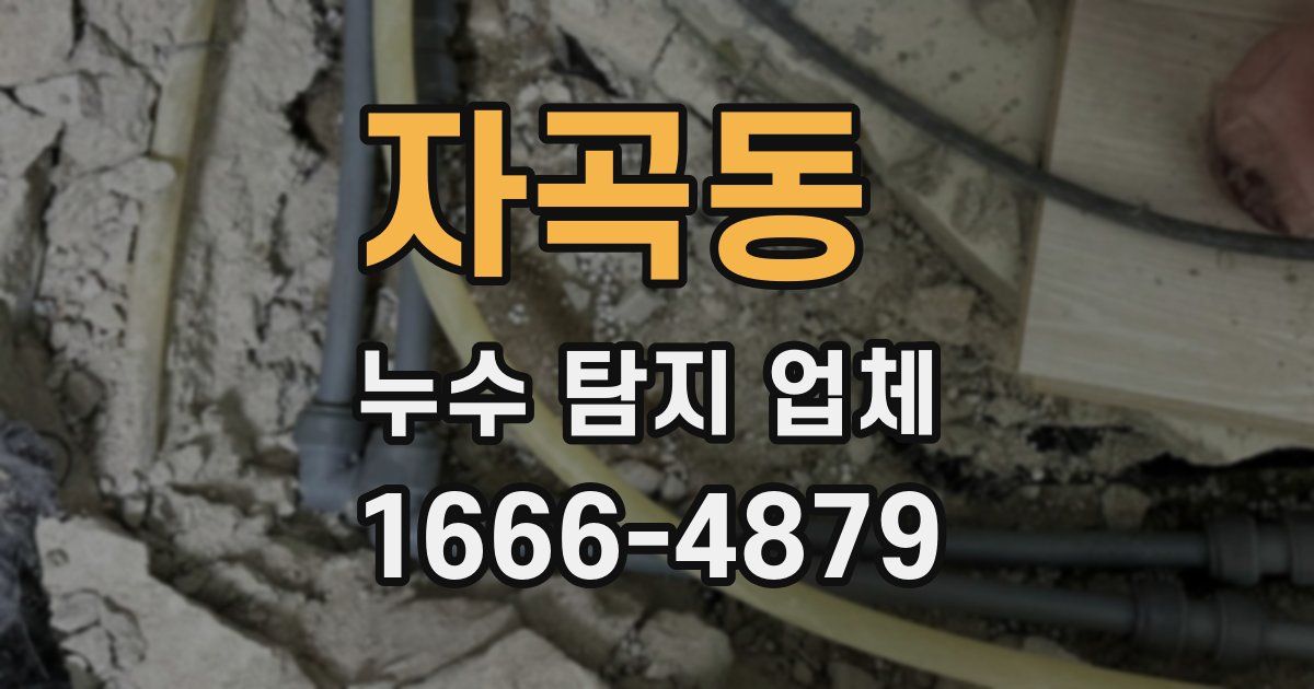 자곡동 누수 탐지 업체