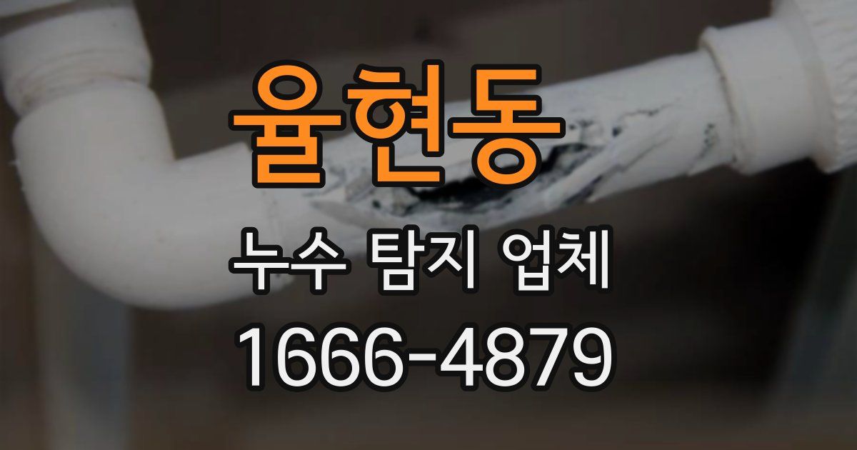 율현동 누수 탐지 업체