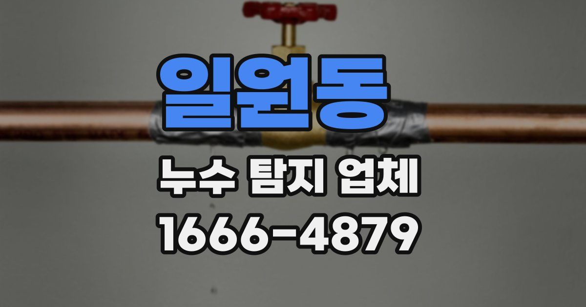 일원동 누수 탐지 업체