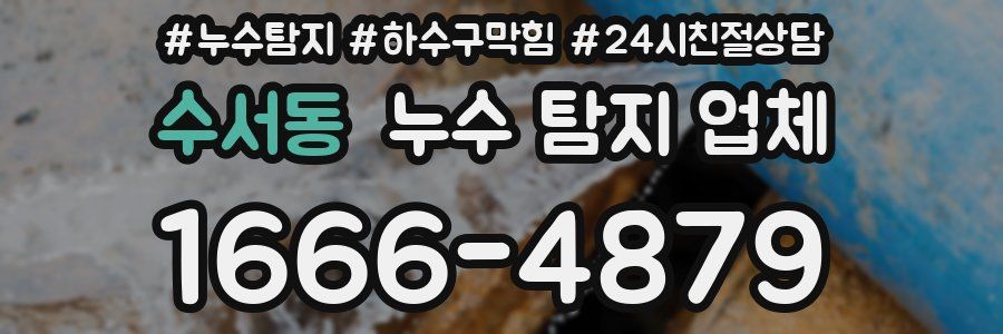 수서동 누수 탐지 업체