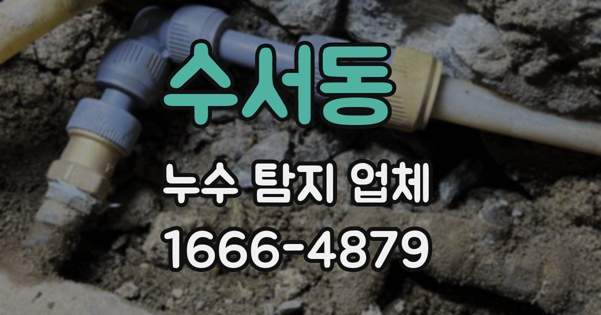 수서동 누수 탐지 업체