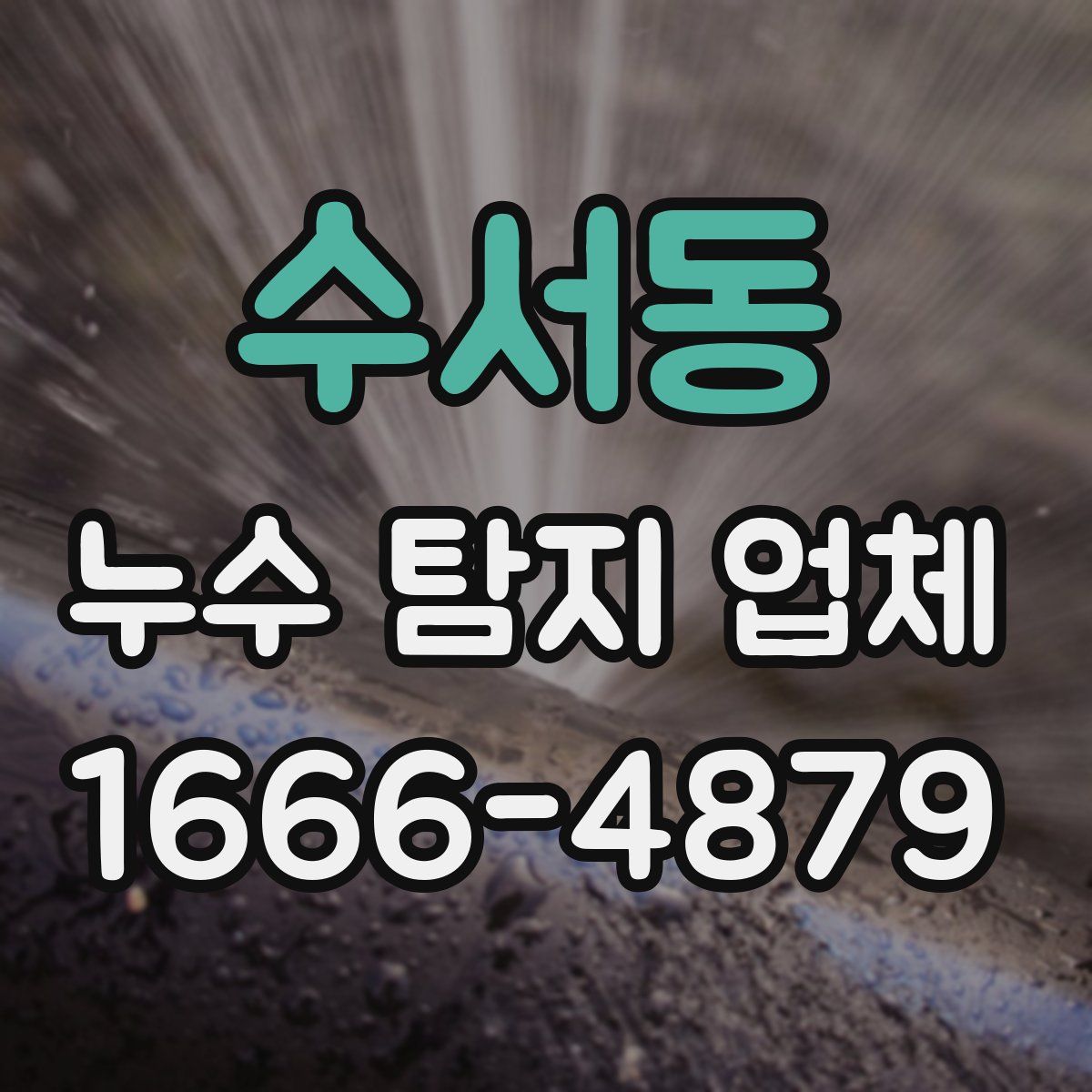 수서동 누수 탐지 업체