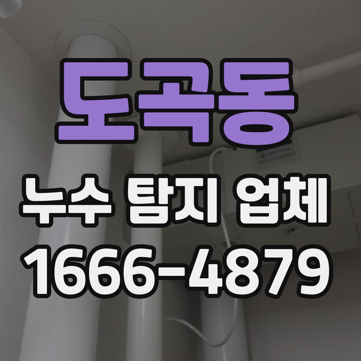 도곡동 누수 탐지 업체
