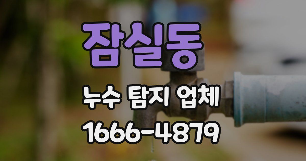 잠실동 누수 탐지 업체