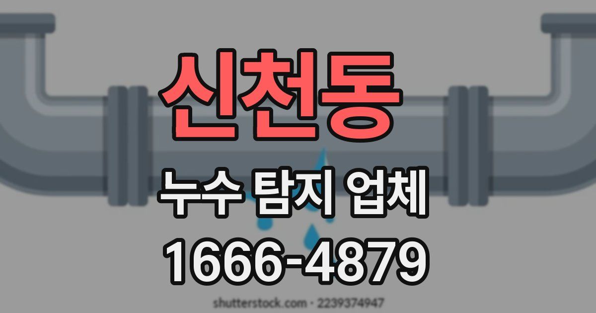 신천동 누수 탐지 업체