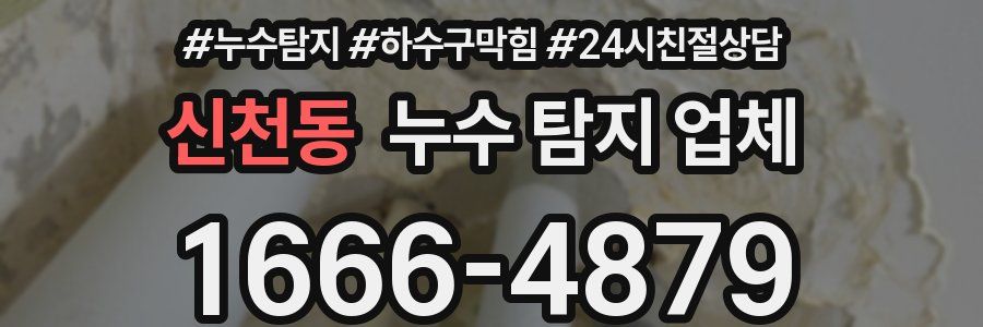 신천동 누수 탐지 업체