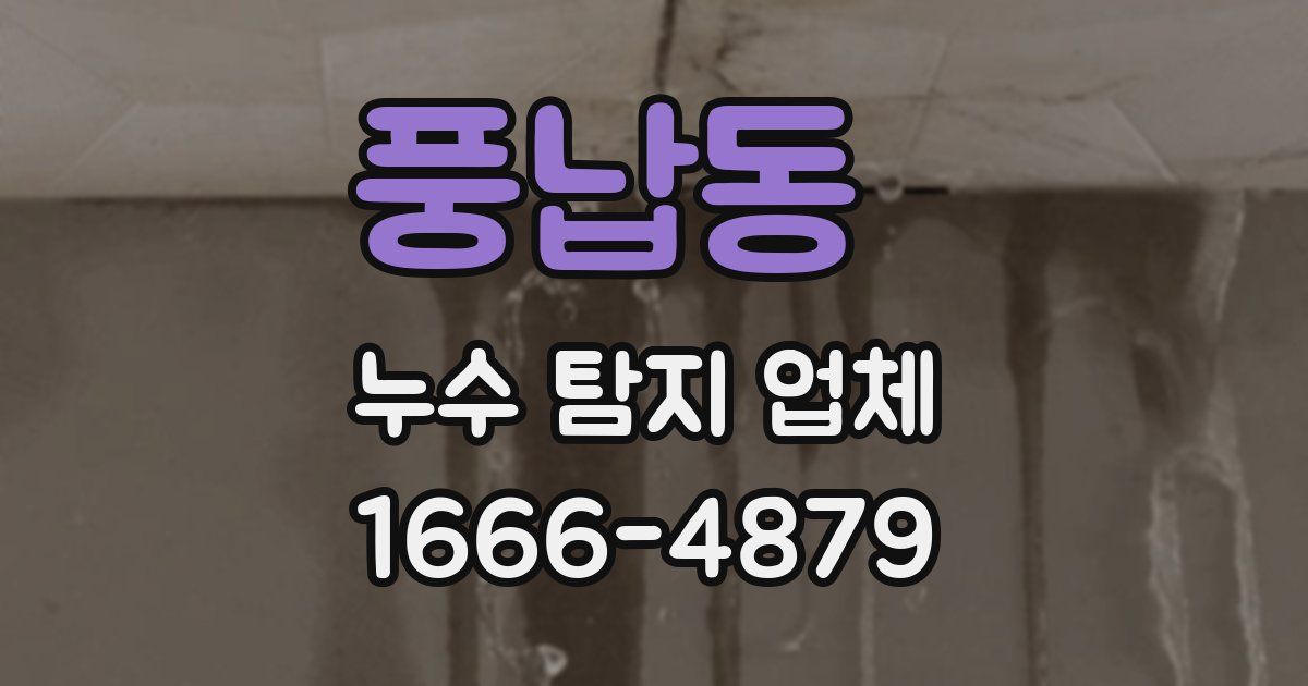 풍납동 누수 탐지 업체