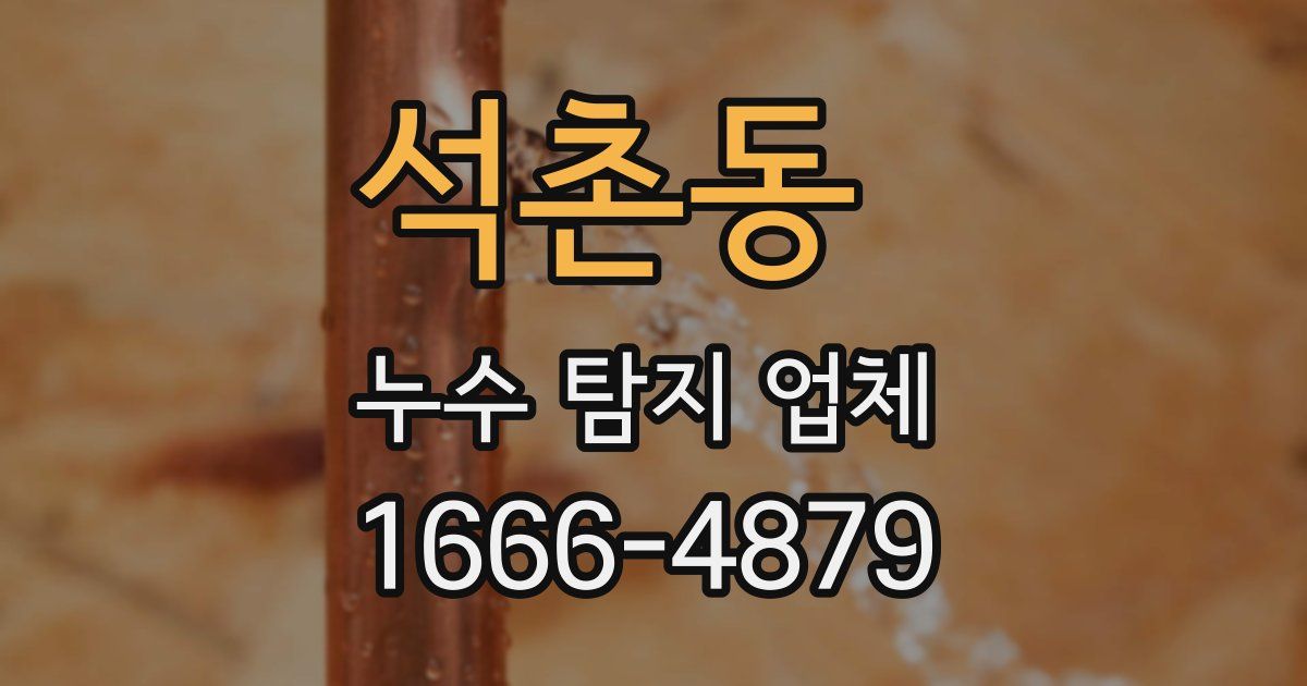 석촌동 누수 탐지 업체