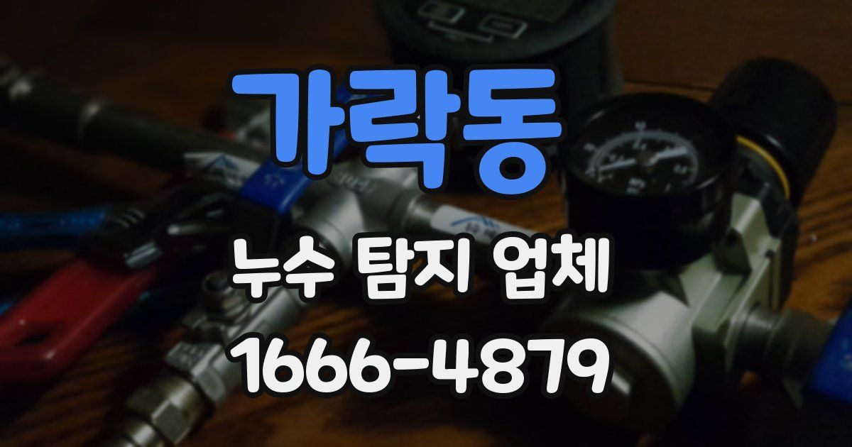 가락동 누수 탐지 업체