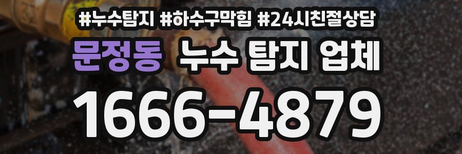문정동 누수 탐지 업체
