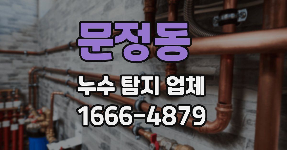 문정동 누수 탐지 업체