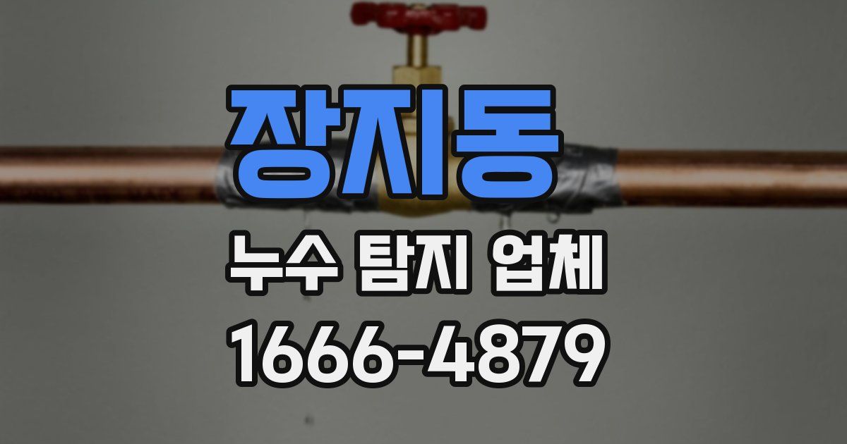 장지동 누수 탐지 업체