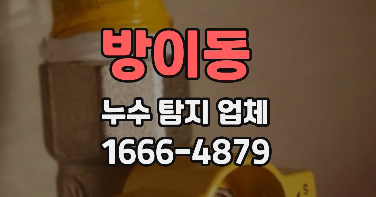 방이동 누수 탐지 업체