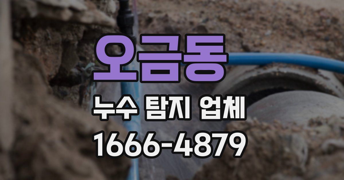 오금동 누수 탐지 업체