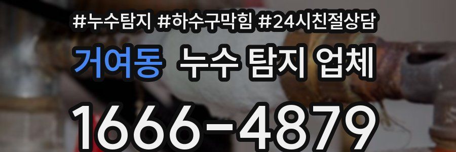 거여동 누수 탐지 업체