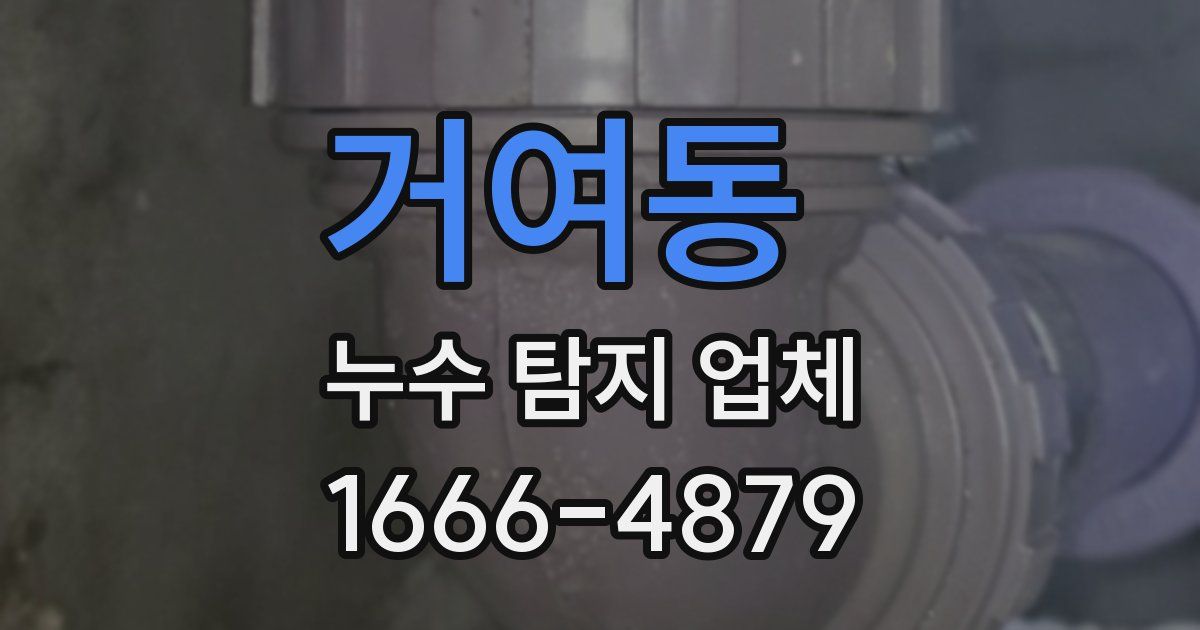 거여동 누수 탐지 업체