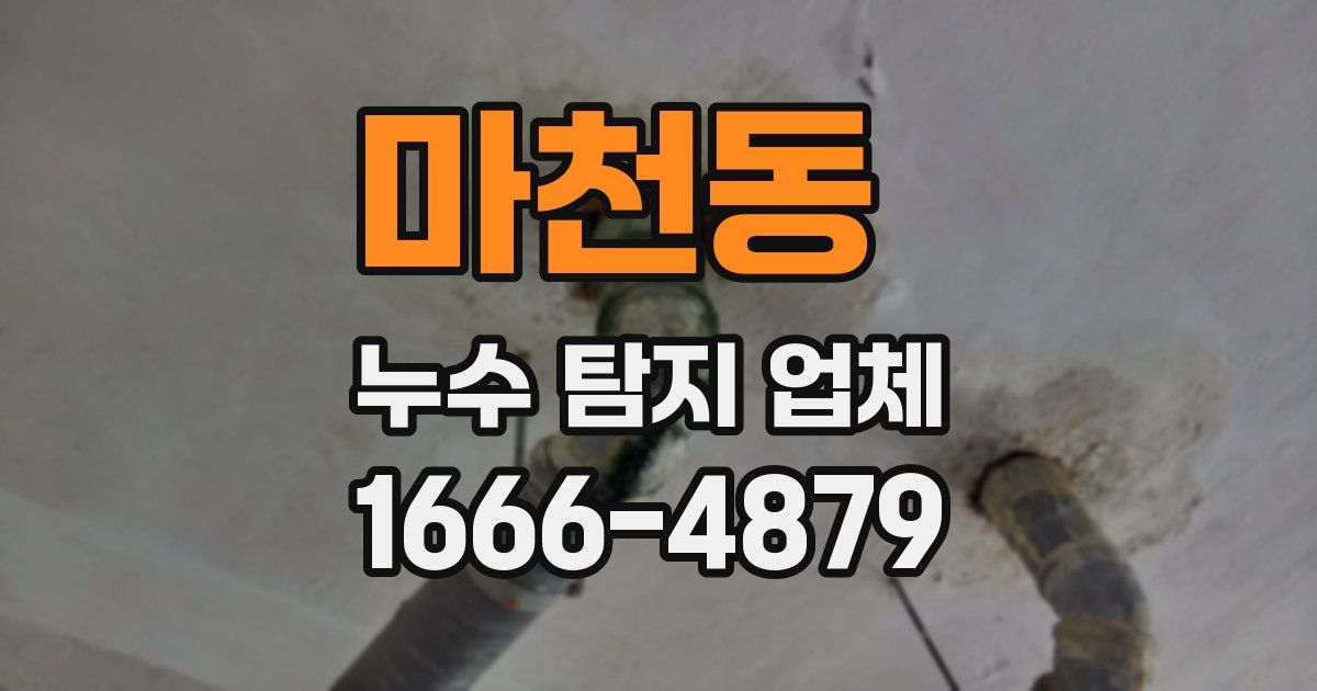 마천동 누수 탐지 업체