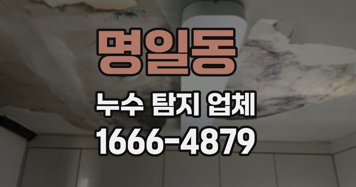 명일동 누수 탐지 업체