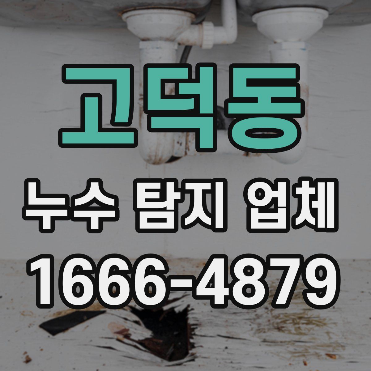 고덕동 누수 탐지 업체