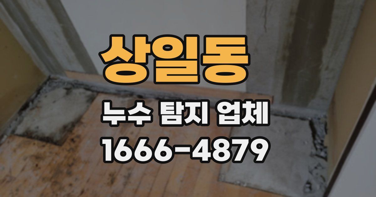 상일동 누수 탐지 업체