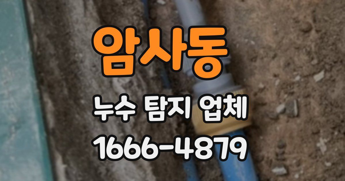 암사동 누수 탐지 업체