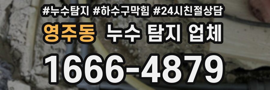 영주동 누수 탐지 업체