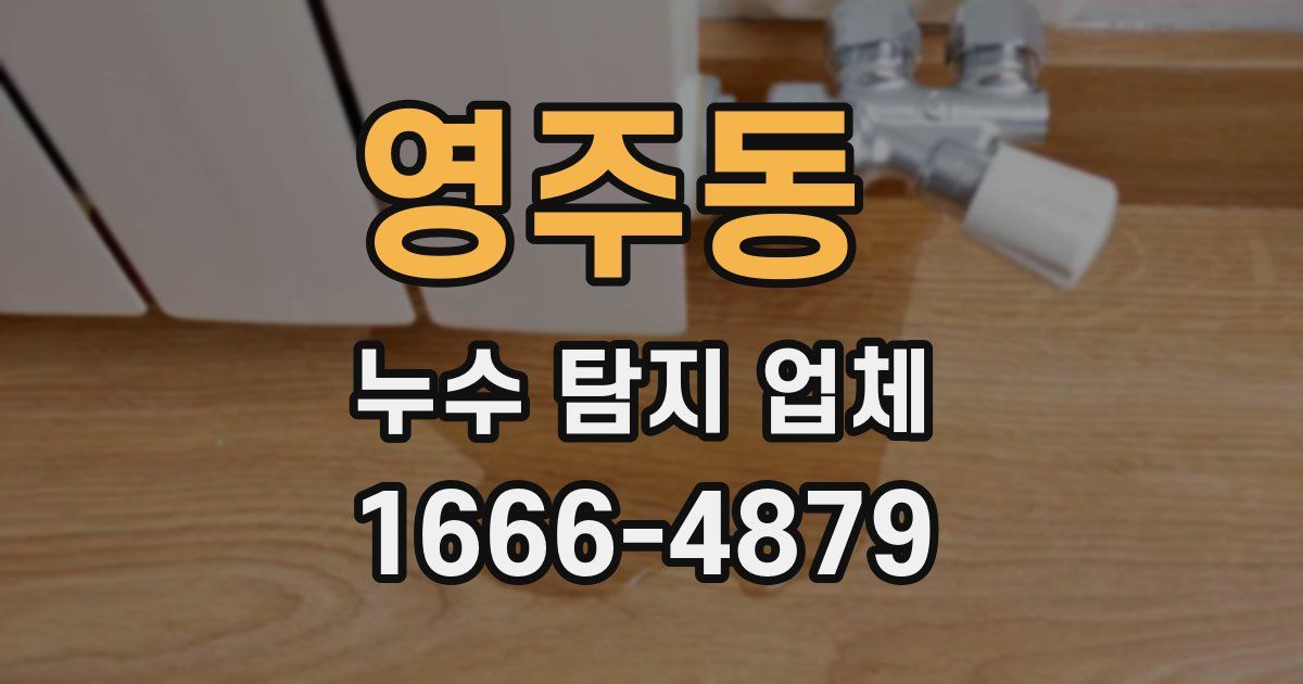 영주동 누수 탐지 업체