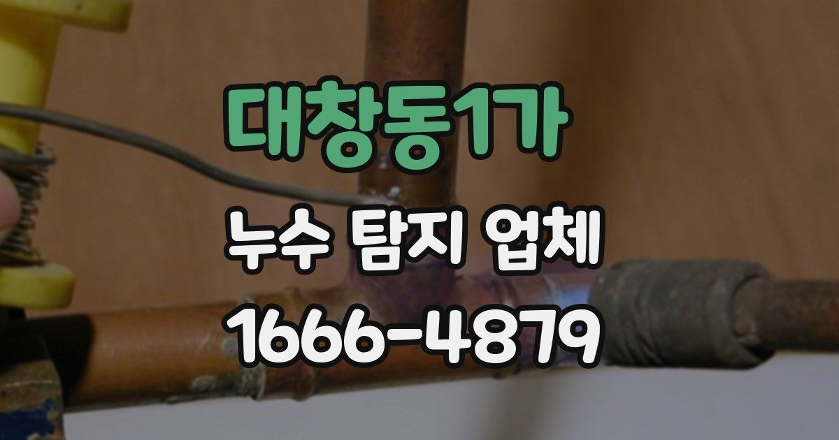 대창동1가 누수 탐지 업체