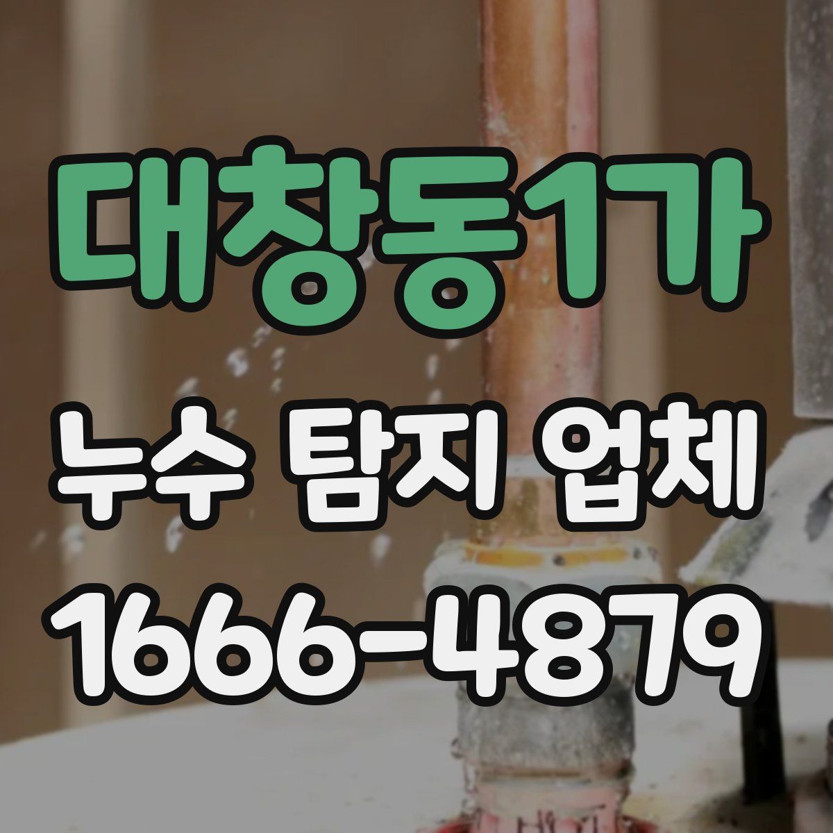 대창동1가 누수 탐지 업체