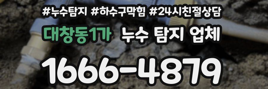 대창동1가 누수 탐지 업체