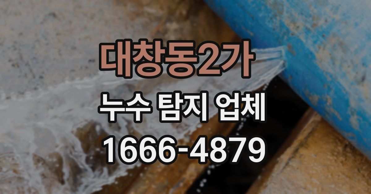 대창동2가 누수 탐지 업체