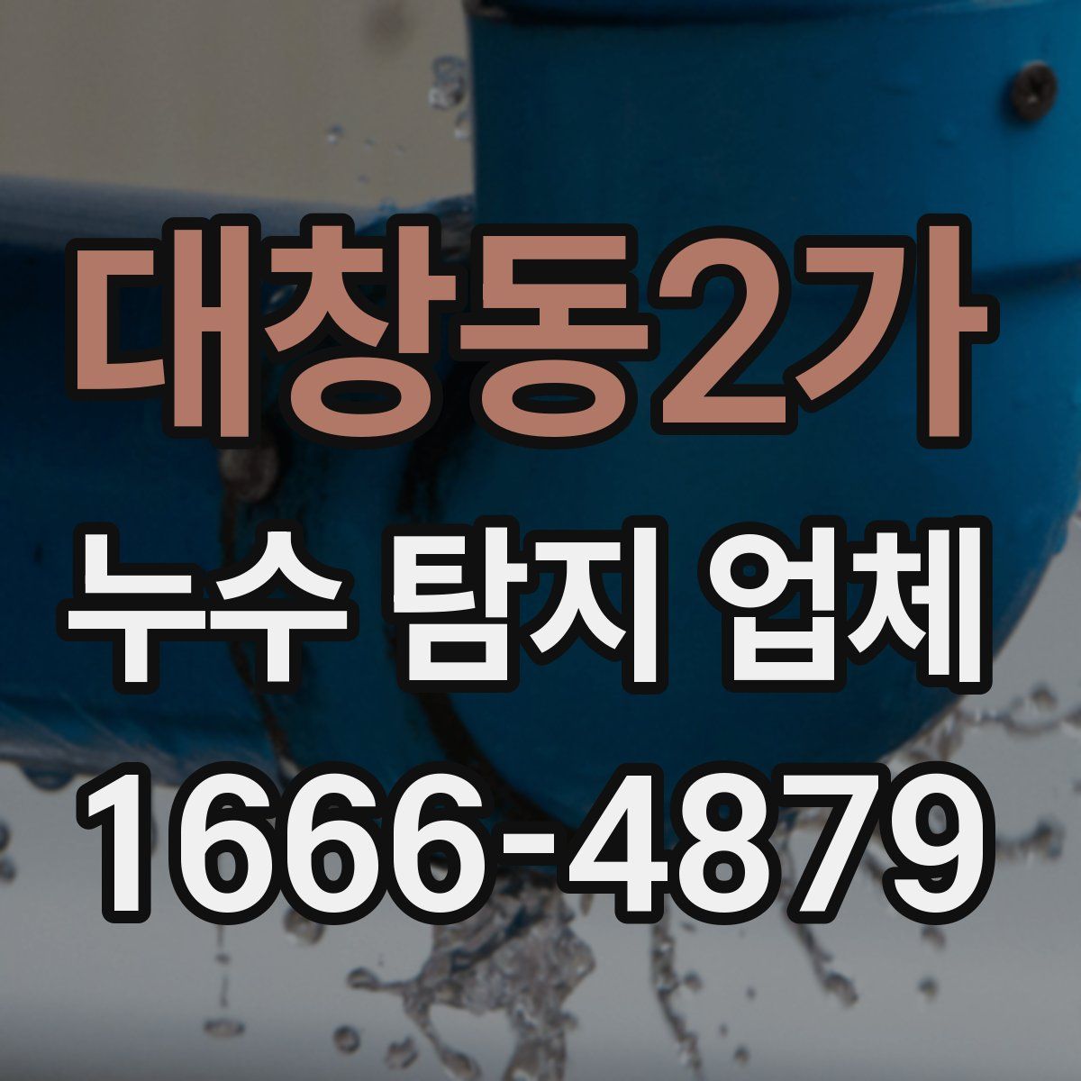 대창동2가 누수 탐지 업체
