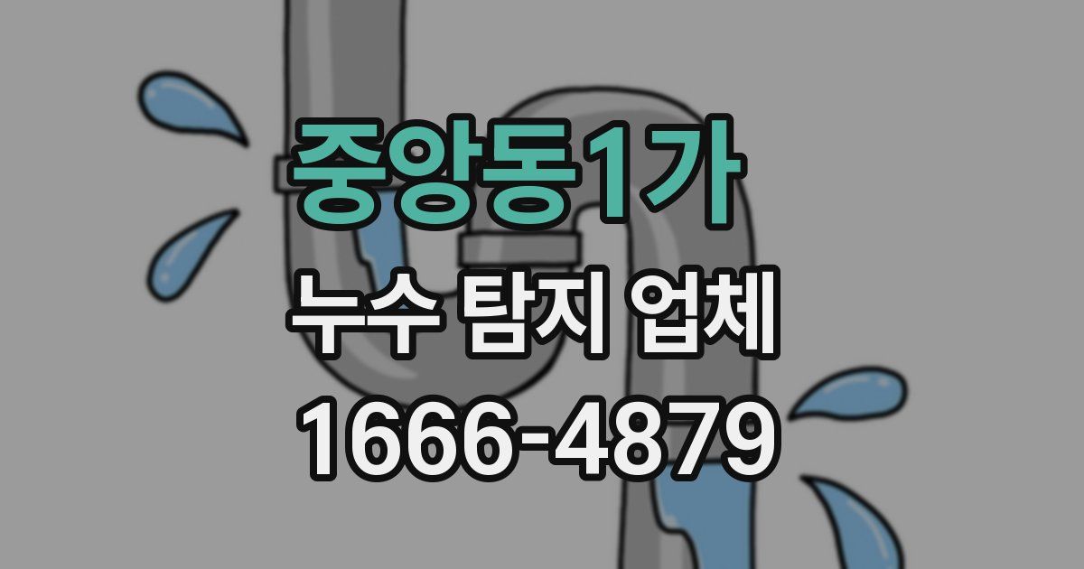 중앙동1가 누수 탐지 업체