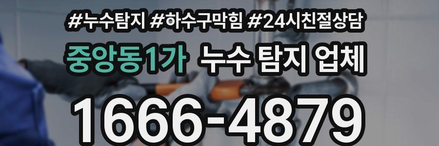 중앙동1가 누수 탐지 업체