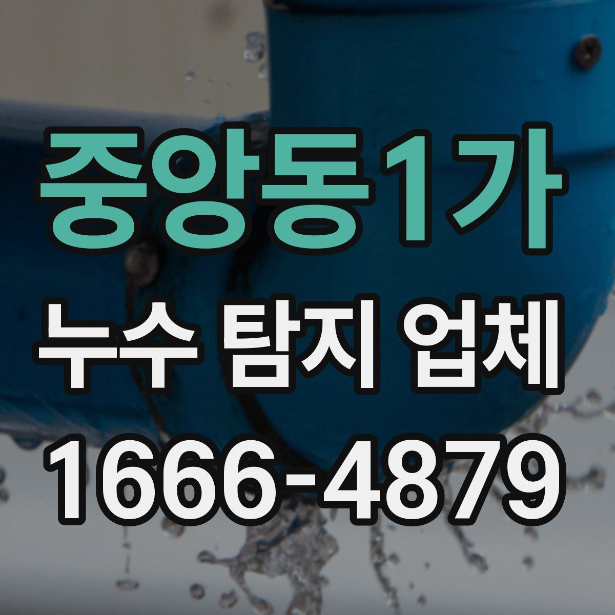 중앙동1가 누수 탐지 업체