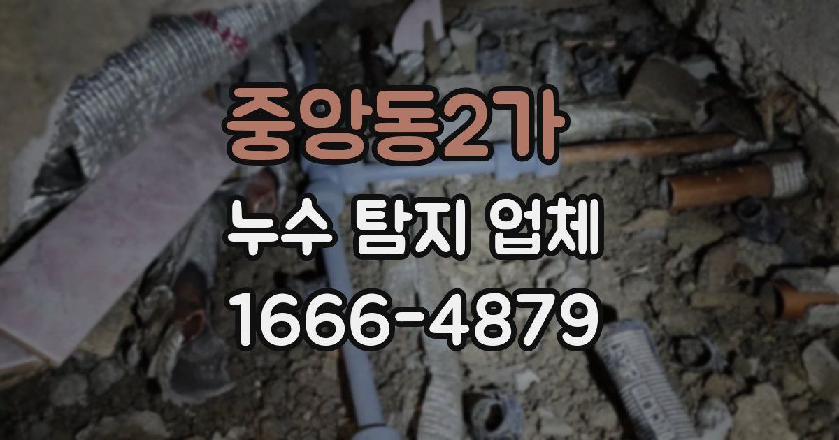중앙동2가 누수 탐지 업체
