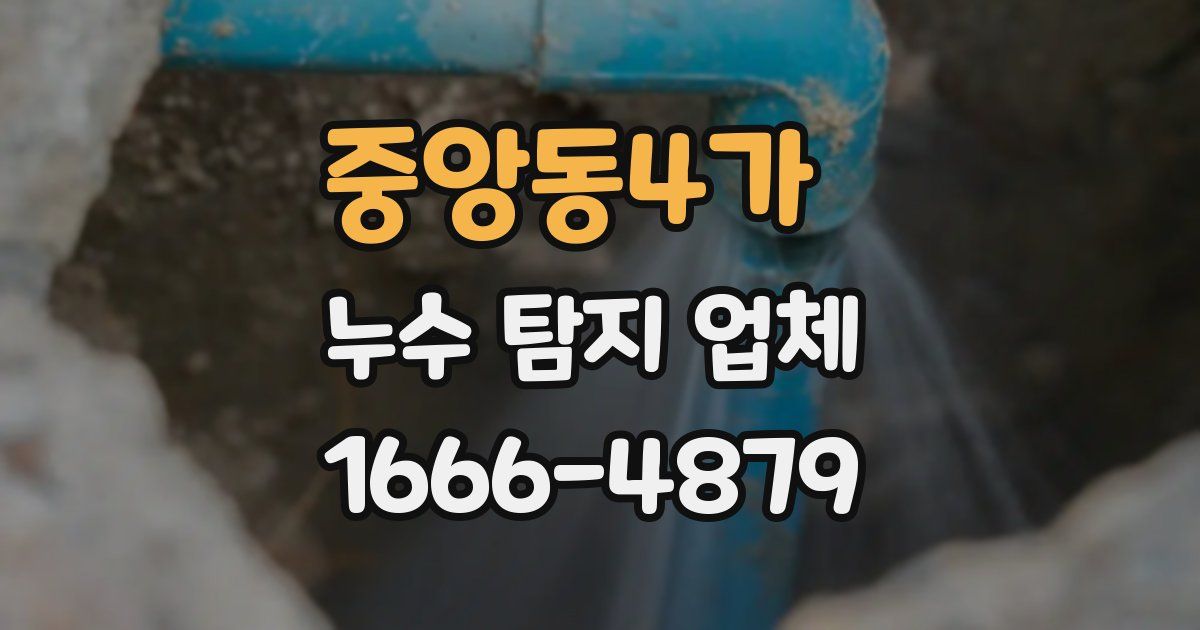 중앙동4가 누수 탐지 업체