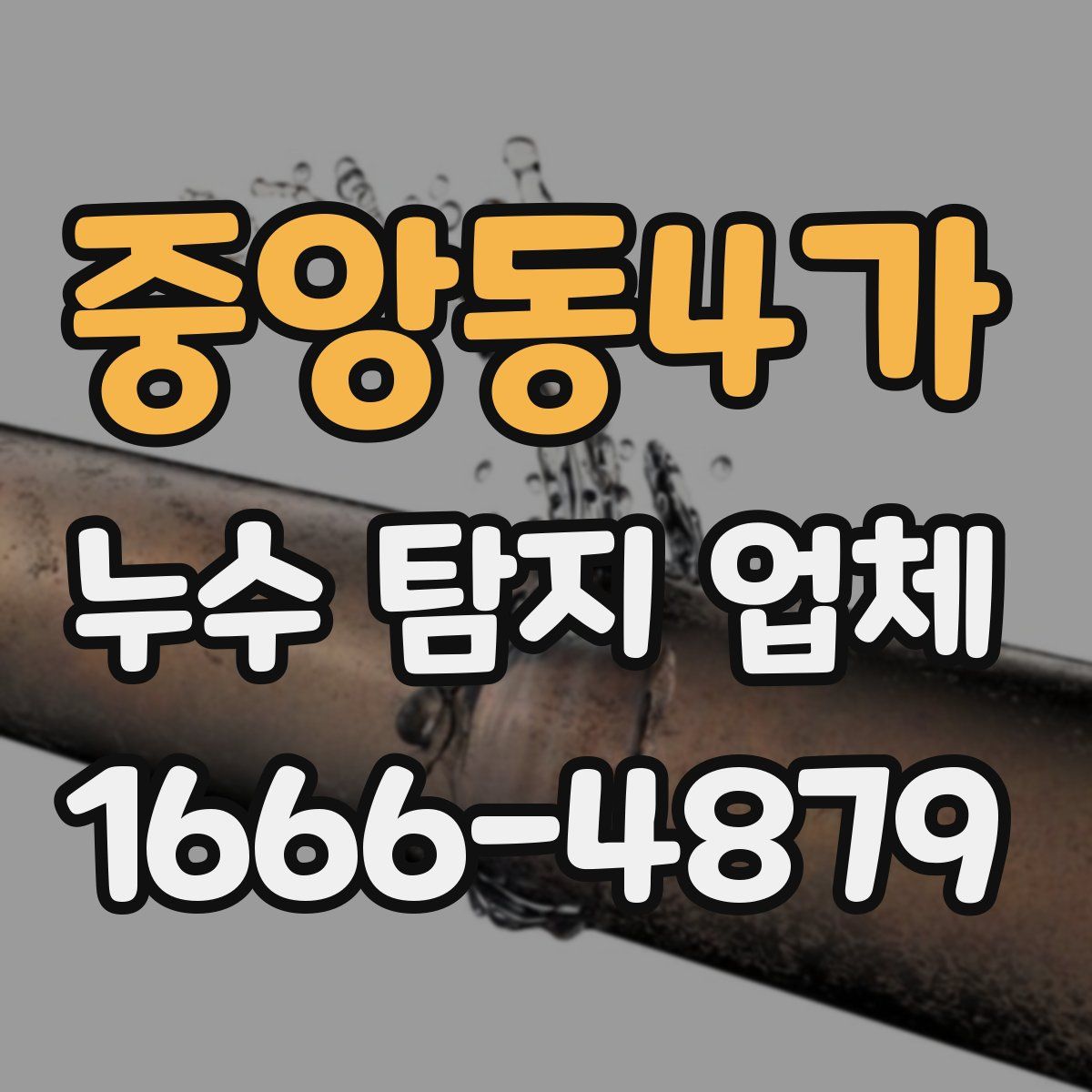 중앙동4가 누수 탐지 업체