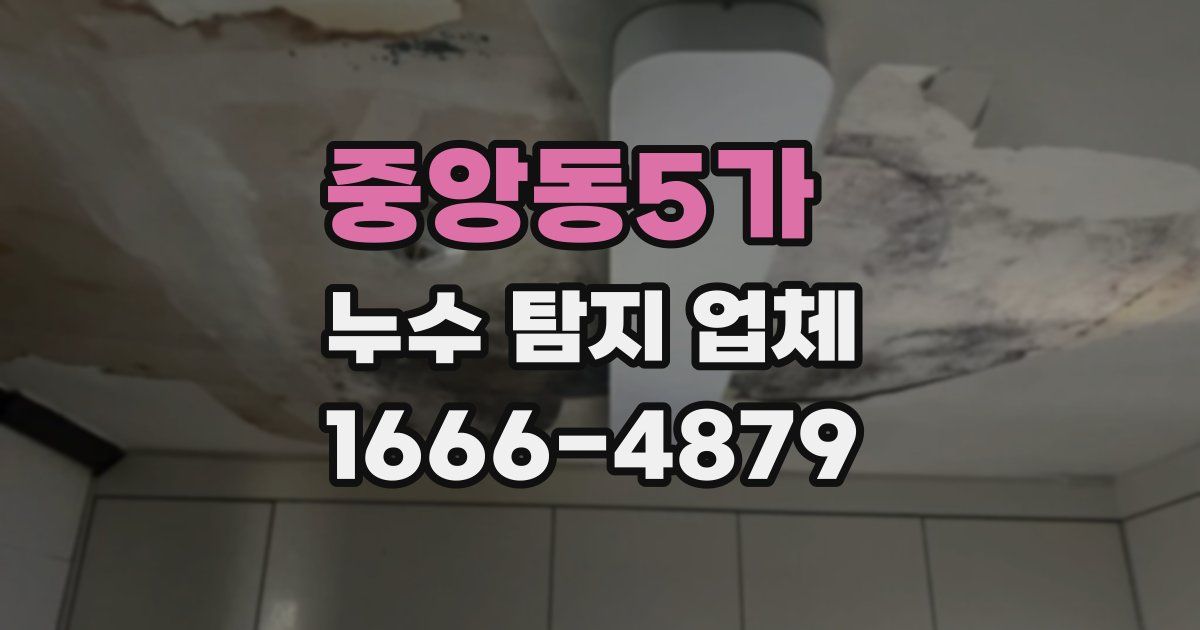 중앙동5가 누수 탐지 업체
