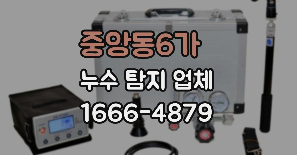 중앙동6가 누수 탐지 업체