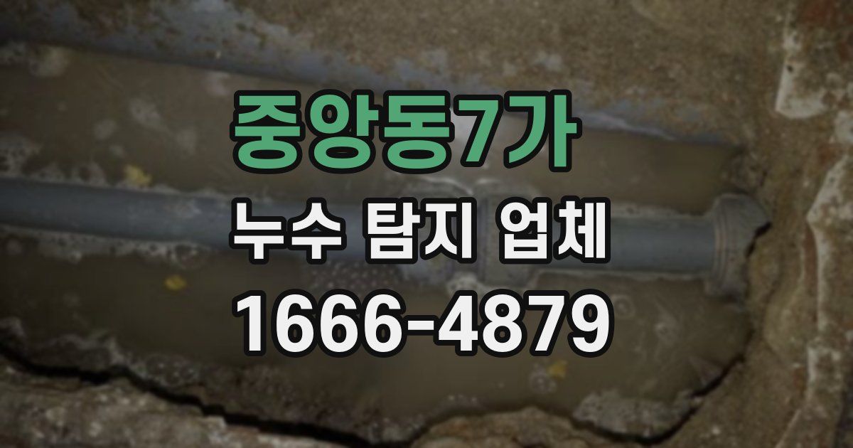 중앙동7가 누수 탐지 업체