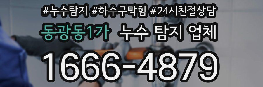동광동1가 누수 탐지 업체