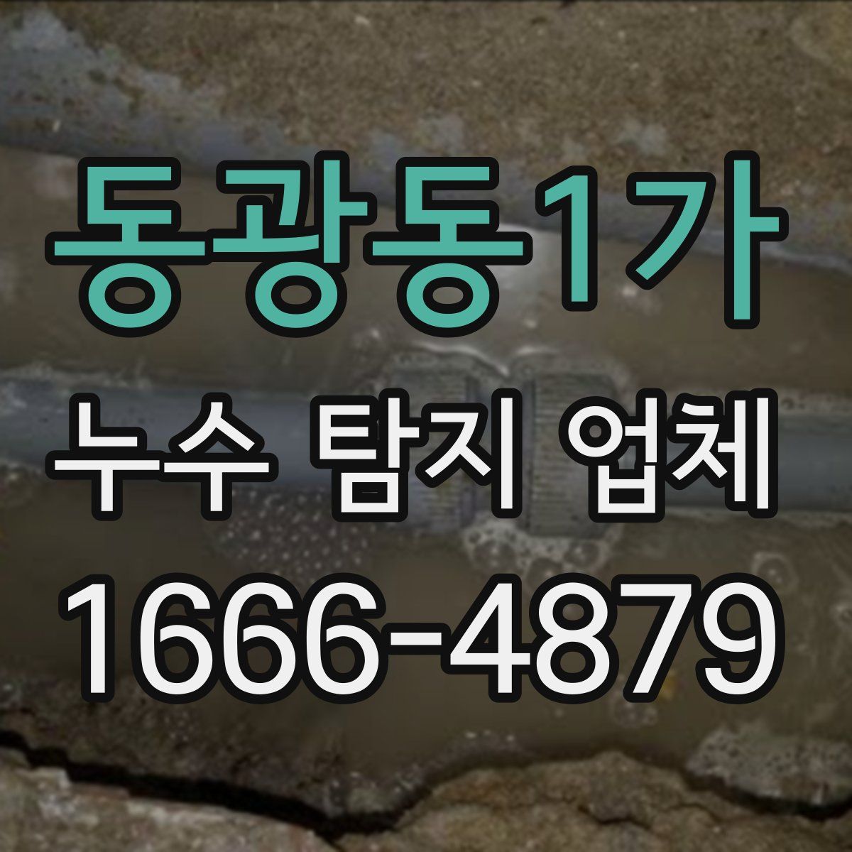동광동1가 누수 탐지 업체