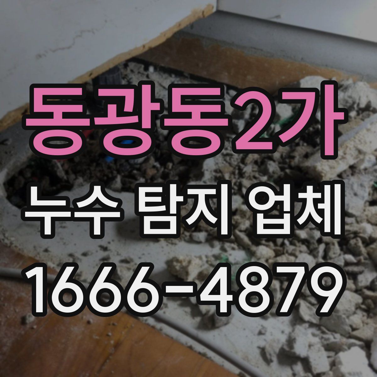 동광동2가 누수 탐지 업체